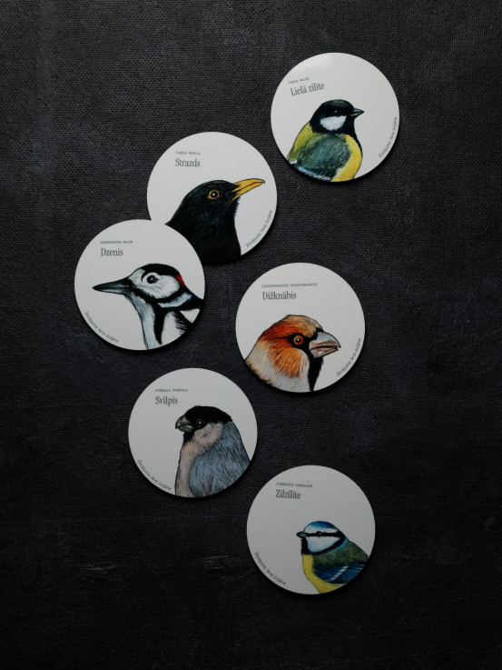Coaster with Bullfinch Illustration