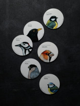 Coaster with Bullfinch Illustration